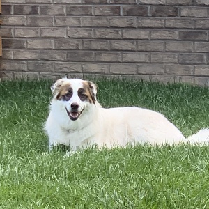 Fundraising Page: Katy Mcmanus